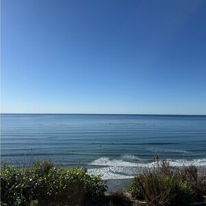 Meet your Posh Ambassador